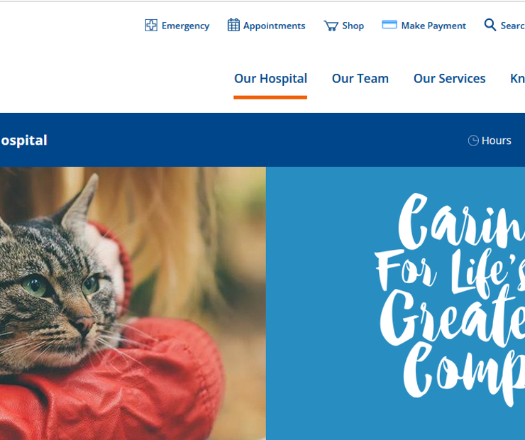 VCA Canada 17th Avenue Animal Hospital